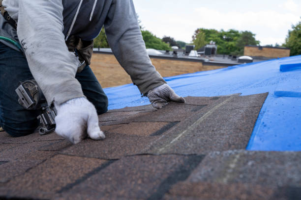 Best Gutter Installation and Repair  in Somonauk, IL